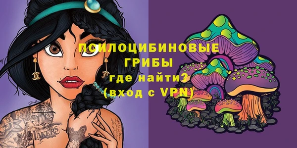 не бодяженный Арсеньев