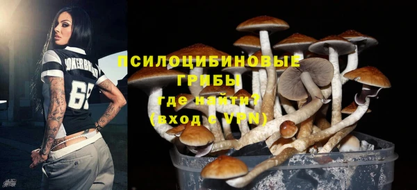 MDMA Premium VHQ Аркадак