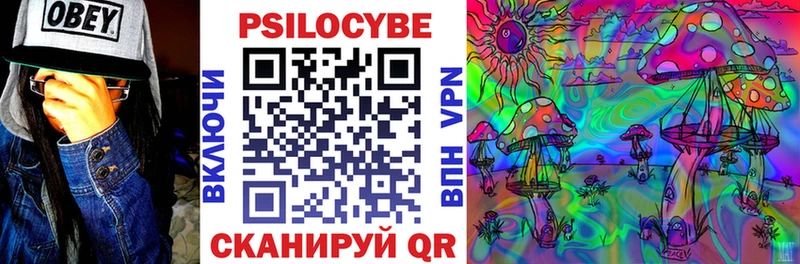 Псилоцибиновые грибы GOLDEN TEACHER Уржум
